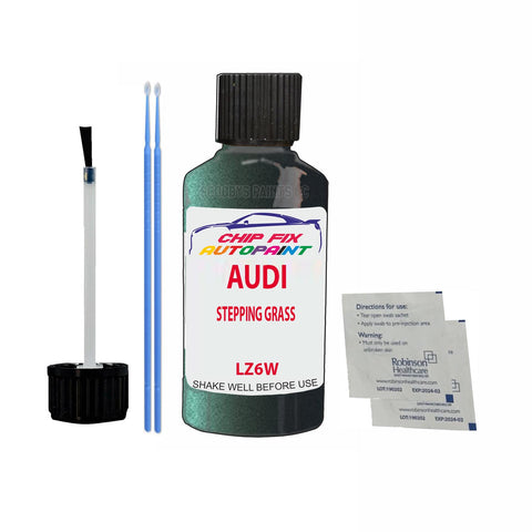 Paint For Audi Tt Roadster Stepping Grass 1999-2002 Code Lz6W Touch Up Paint Scratch Repair