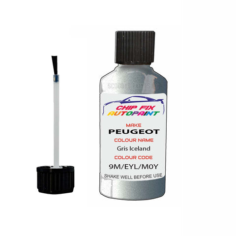 Paint For Peugeot 4007 Gris Iceland 9M, EYL, M0YL 1998-2013 Silver Grey Touch Up Paint