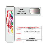colour swatch card  Peugeot 107 Urban Move 4 Gris Gallium KTB 2005-2022 Silver Grey Touch Up Paint