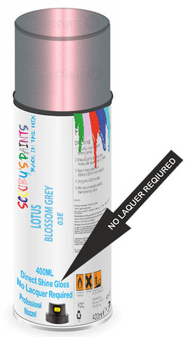 paint for Lotus Eletre