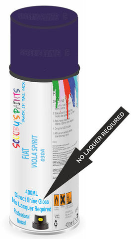 paint for Fiat Scudo