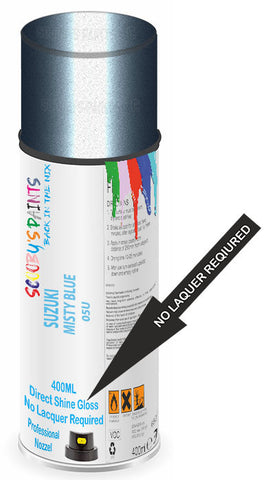 paint for Suzuki Alto