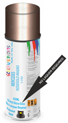 paint for Mercedes Eqe