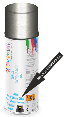 paint for Lexus Es300