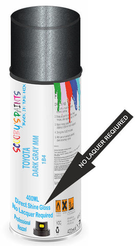 paint for Toyota Sprinter Sedan