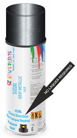 paint for Suzuki Across