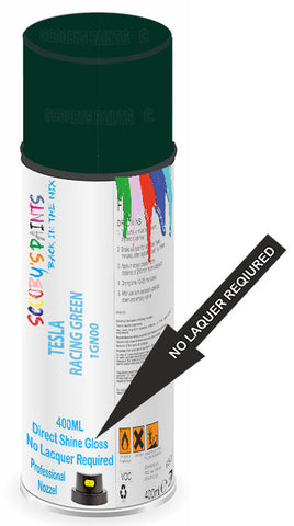 paint for TESLA Model 3