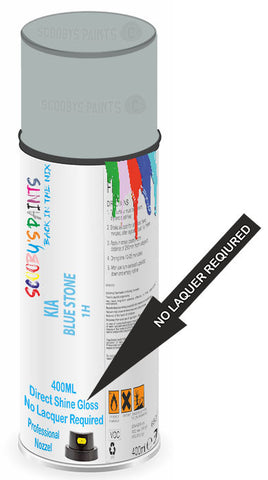 paint for Kia Soul