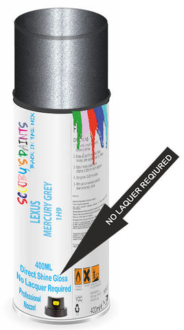paint for Lexus Hs250H