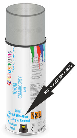 paint for Toyota Avalon
