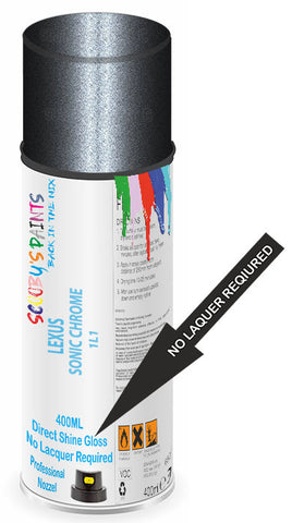 paint for Lexus Is500
