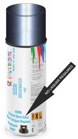 paint for Suzuki Car