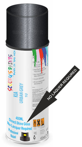 paint for Kia Rondo