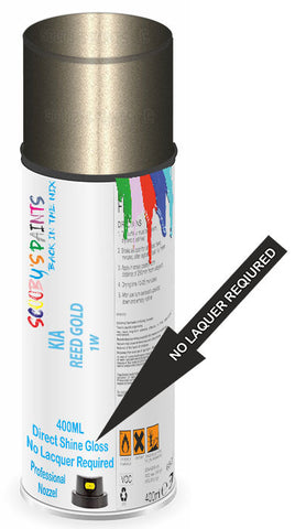 paint for Kia Pregio