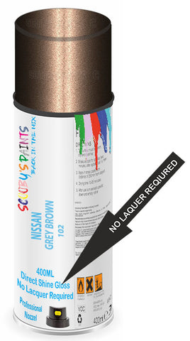 paint for Nissan Stanza