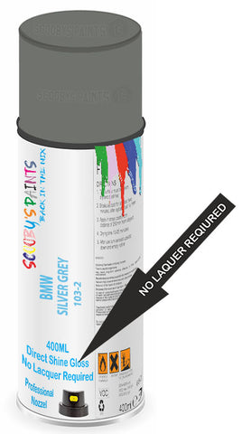 paint for Bmw X5