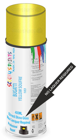 paint for BUGATTI 