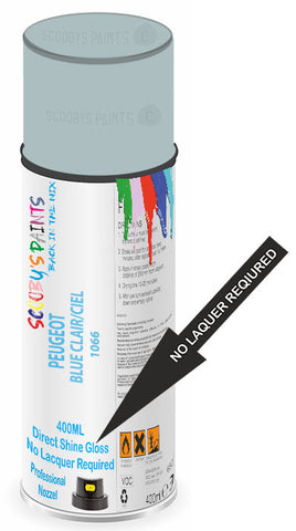 paint for Peugeot 404