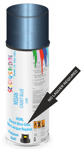 paint for Nissan Stanza