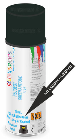 paint for Peugeot 204
