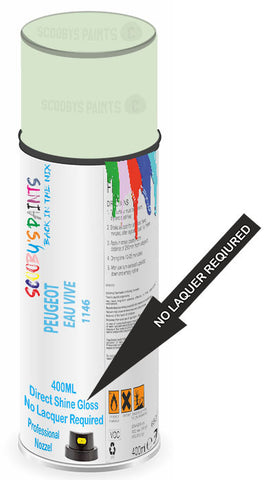 paint for Peugeot 404