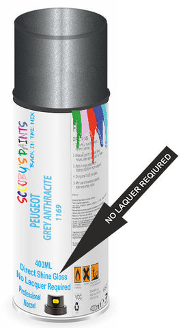 paint for PEUGEOT 