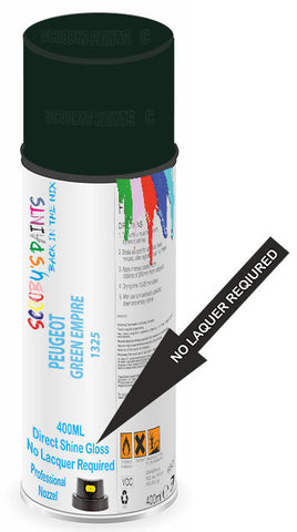 paint for Peugeot 404