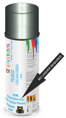 paint for PEUGEOT 604