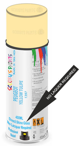 paint for PEUGEOT 