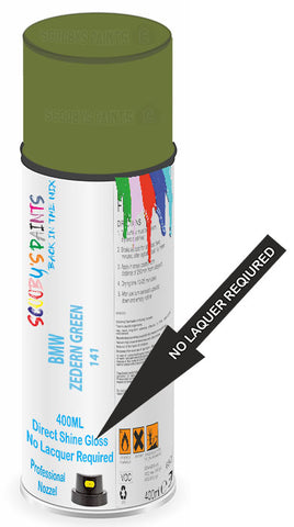 paint for BMW 