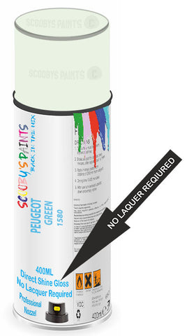 paint for Peugeot 304