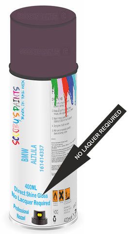 paint for BMW Z4 COUPE