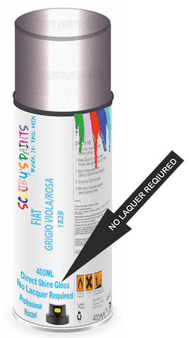 paint for Fiat 500