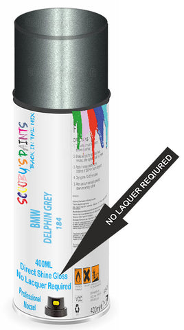 paint for BMW Z4 COUPE
