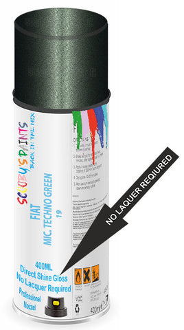 paint for Fiat 500 X
