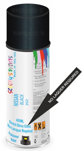 paint for Nissan Dayz
