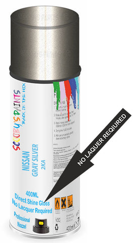 paint for NISSAN Z