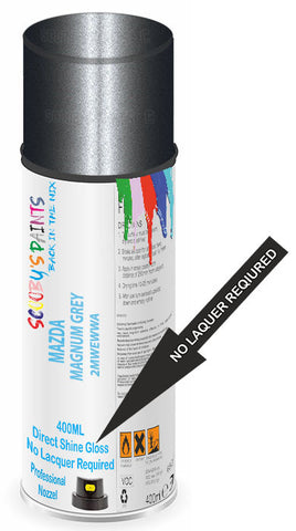 paint for Mazda 2