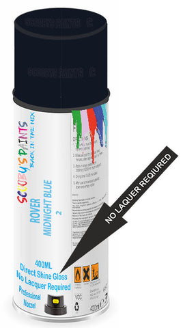 paint for ROVER Toledo