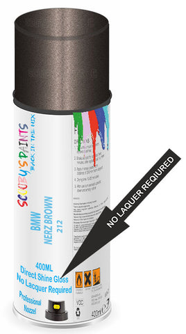 paint for BMW 6 series