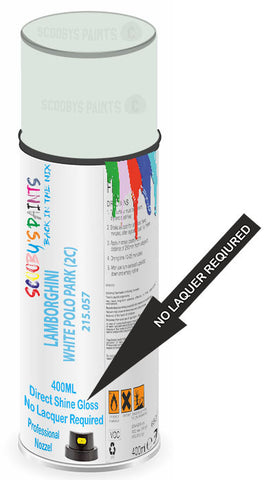 paint for LAMBORGHINI 