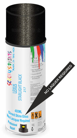 paint for Lexus Rc300H