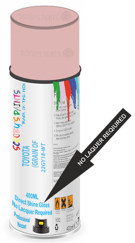 paint for TOYOTA 