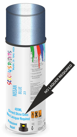 paint for Nissan Primera
