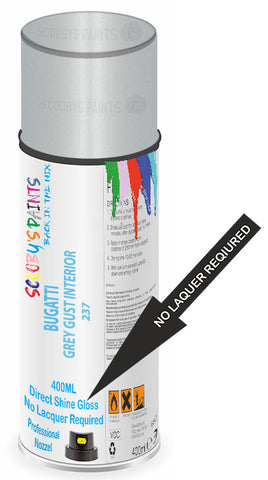 paint for BUGATTI 