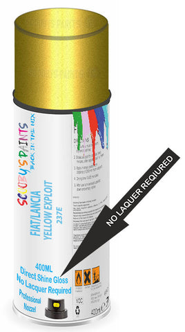 paint for Fiat Punto