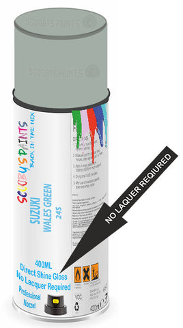 paint for SUZUKI 
