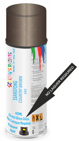 paint for SSANGYONG 