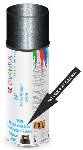 paint for Fiat 500 F