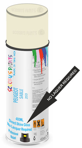 paint for Peugeot 104